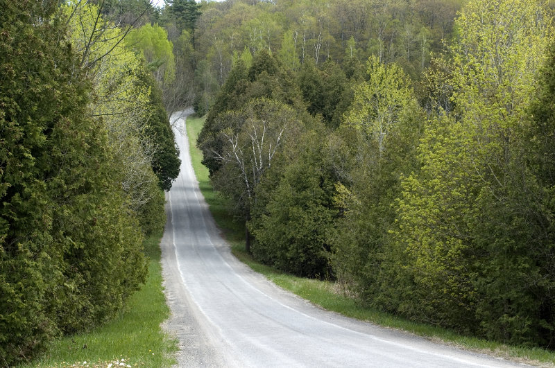 Hamilton Township Tony Pulla Realtor