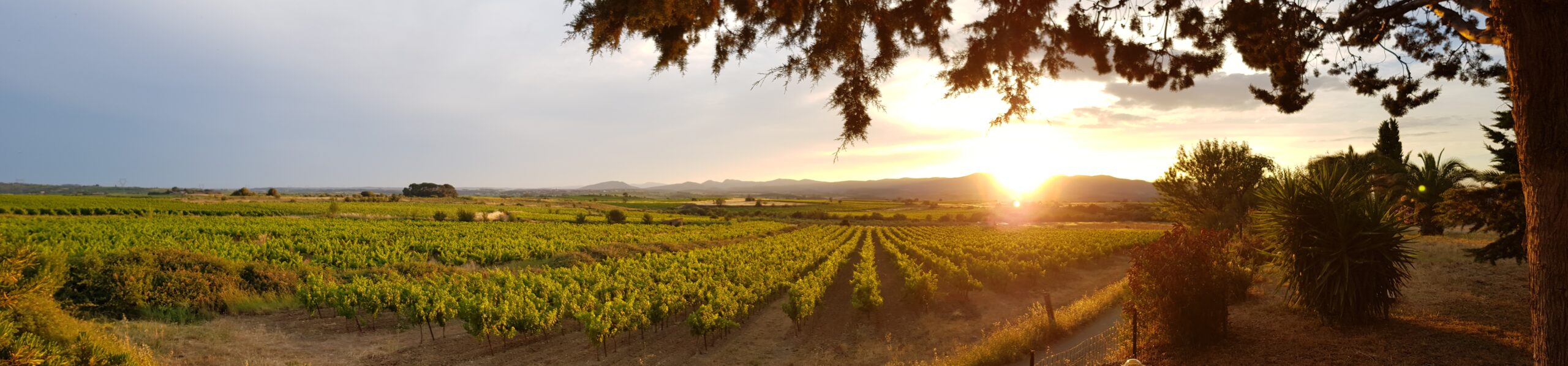 Useful Links Pullen France Real Estate