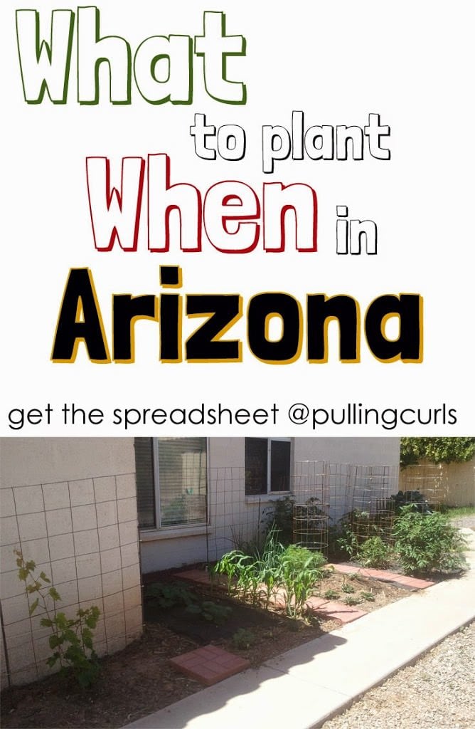 Arizona Planting Guide