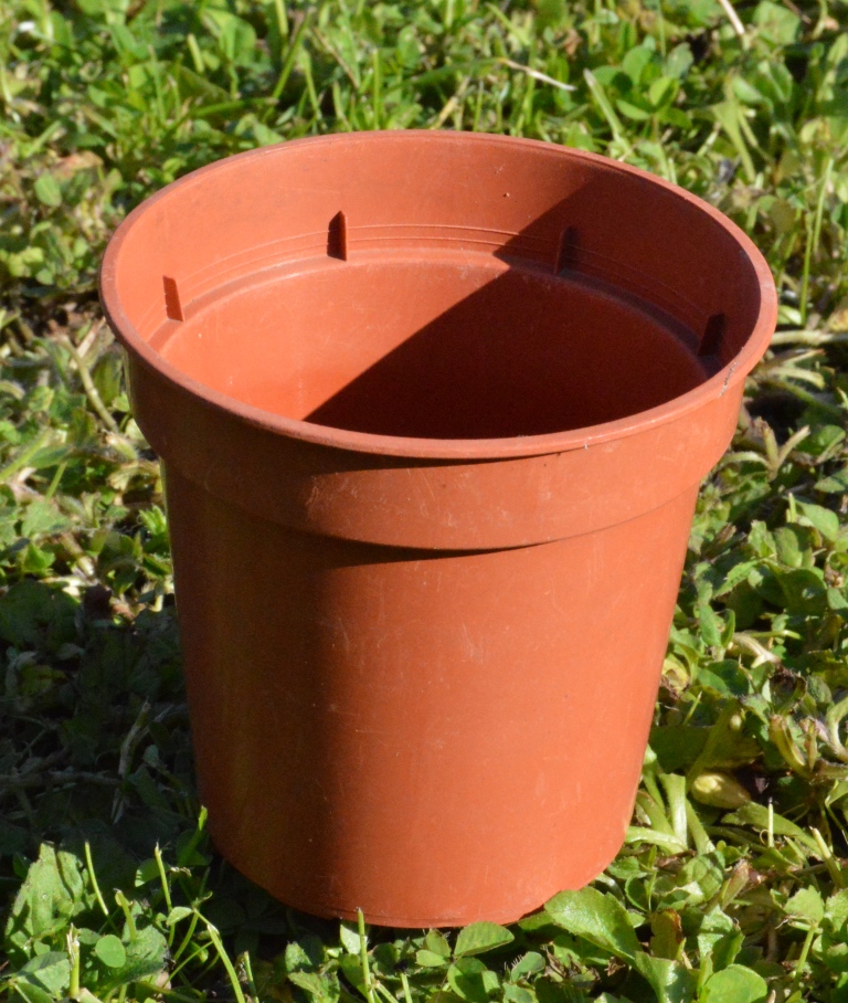 Recyclable plant pots Graham Wright Garden Design