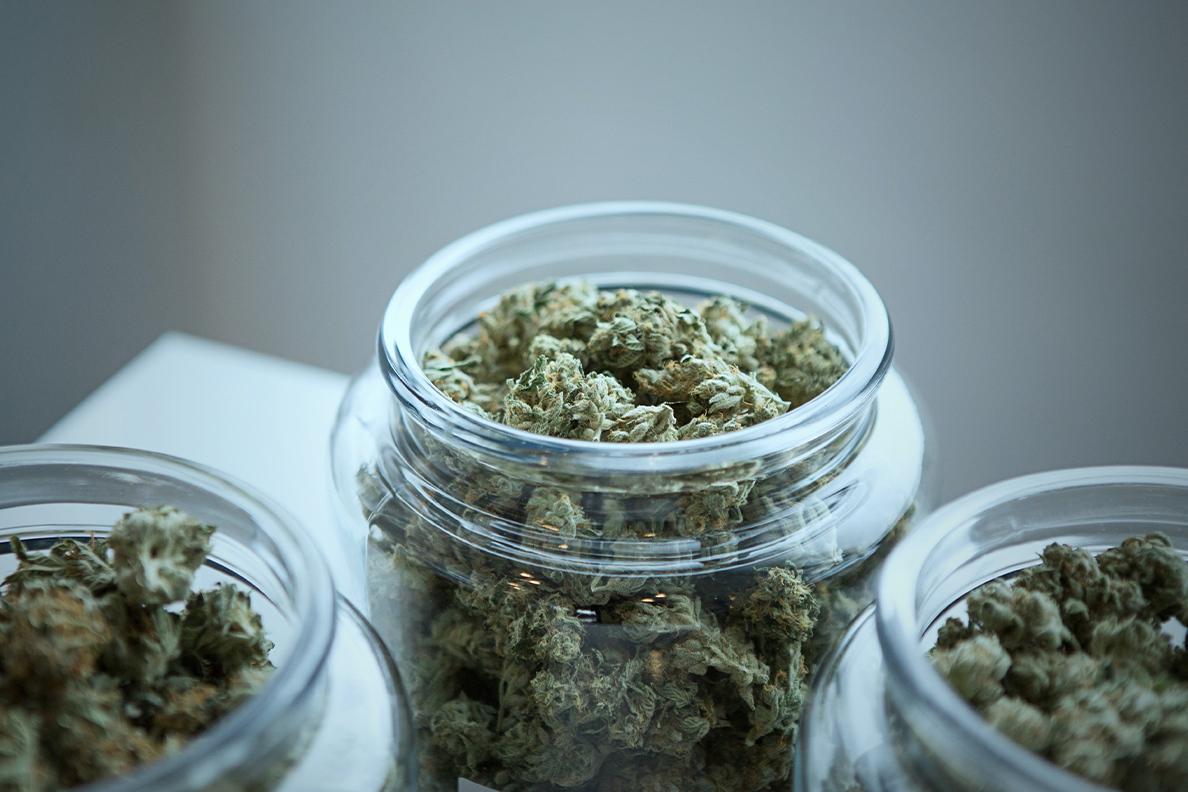 WSU research finds cannabis helps and hurts entrepreneurial creativity - Vimarsana News