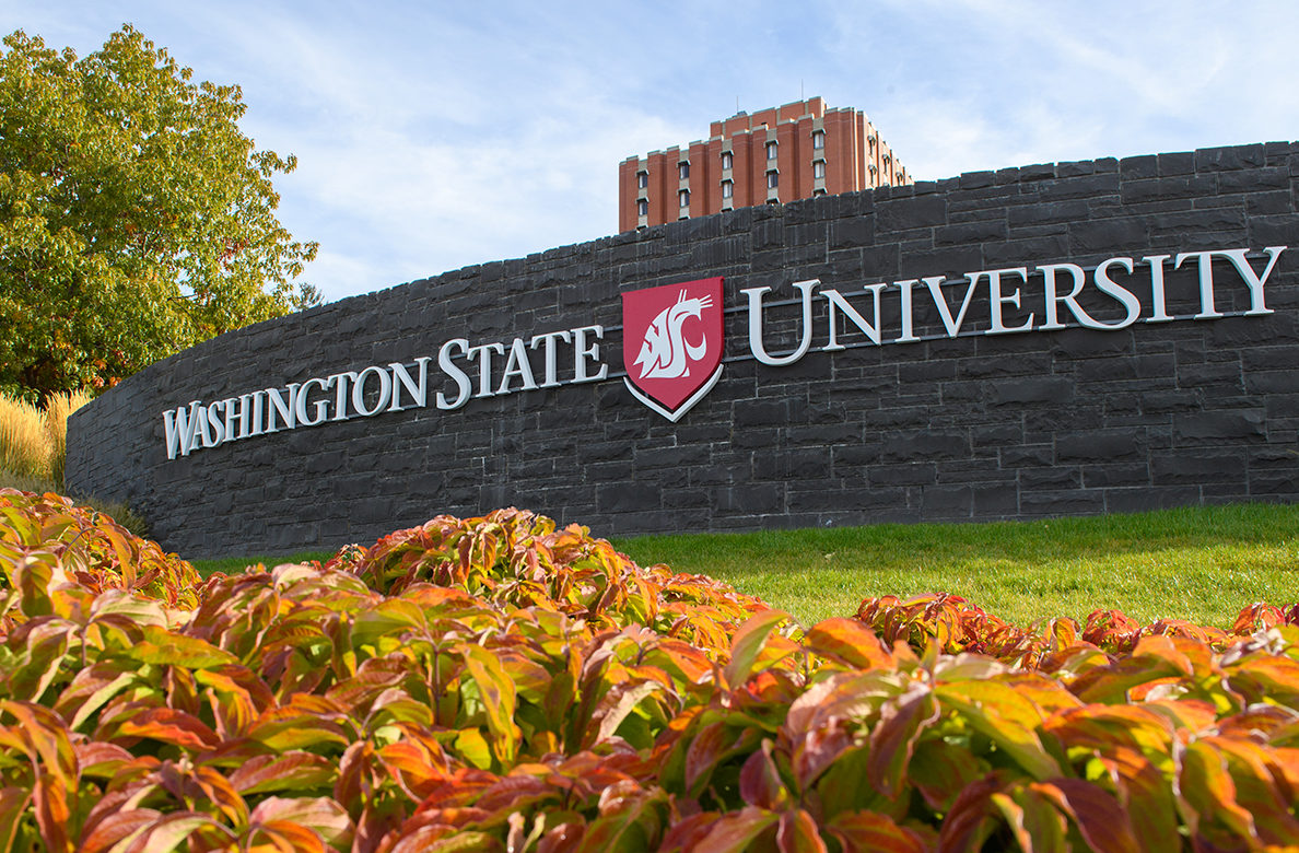 WSU searching for children 4&5 for study - Vimarsana News