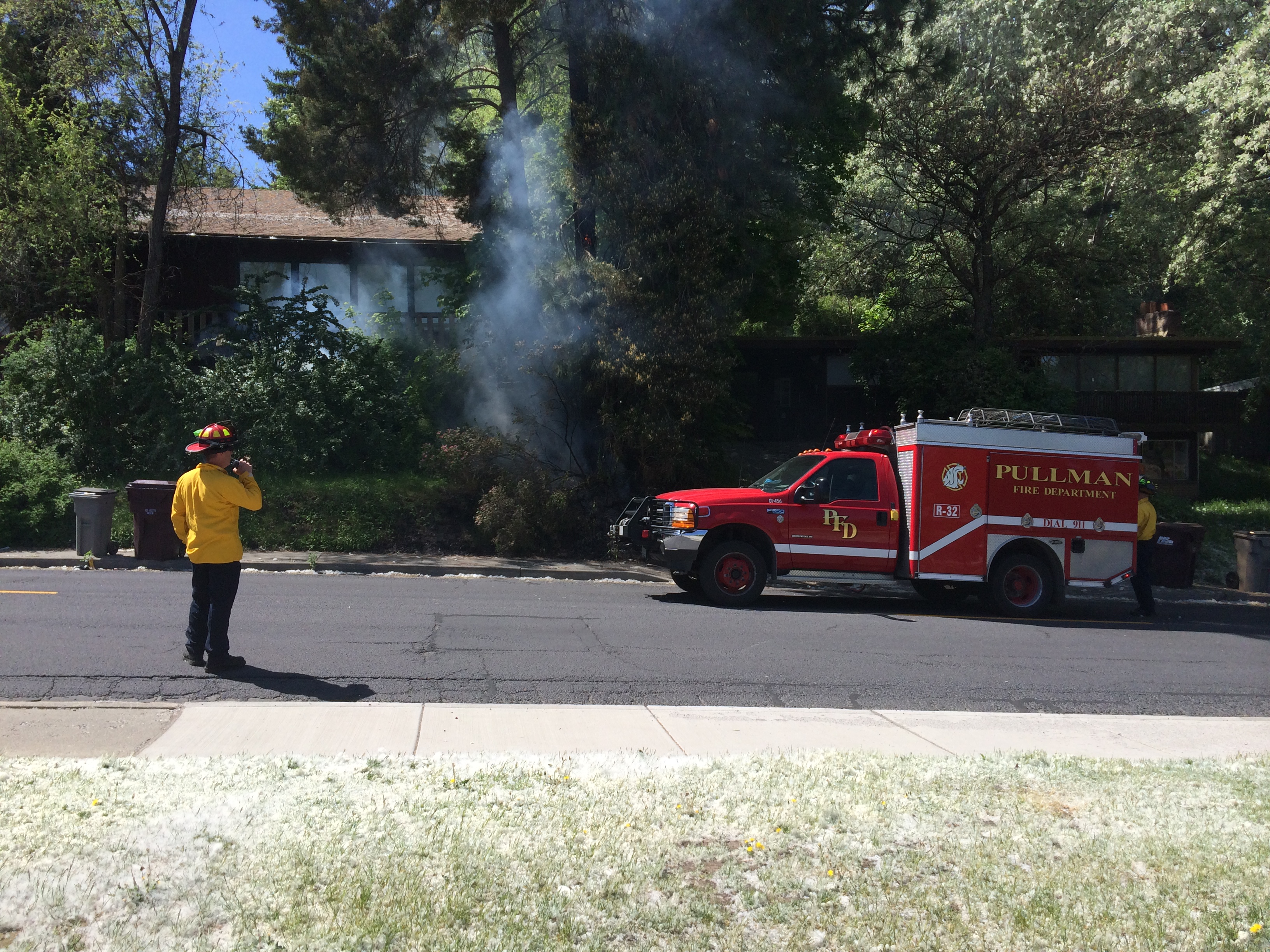 flufffire Pullman Radio