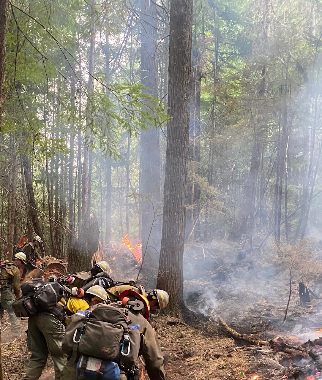 Fires In Local Nez PerceClearwater National Forests Holding Steady