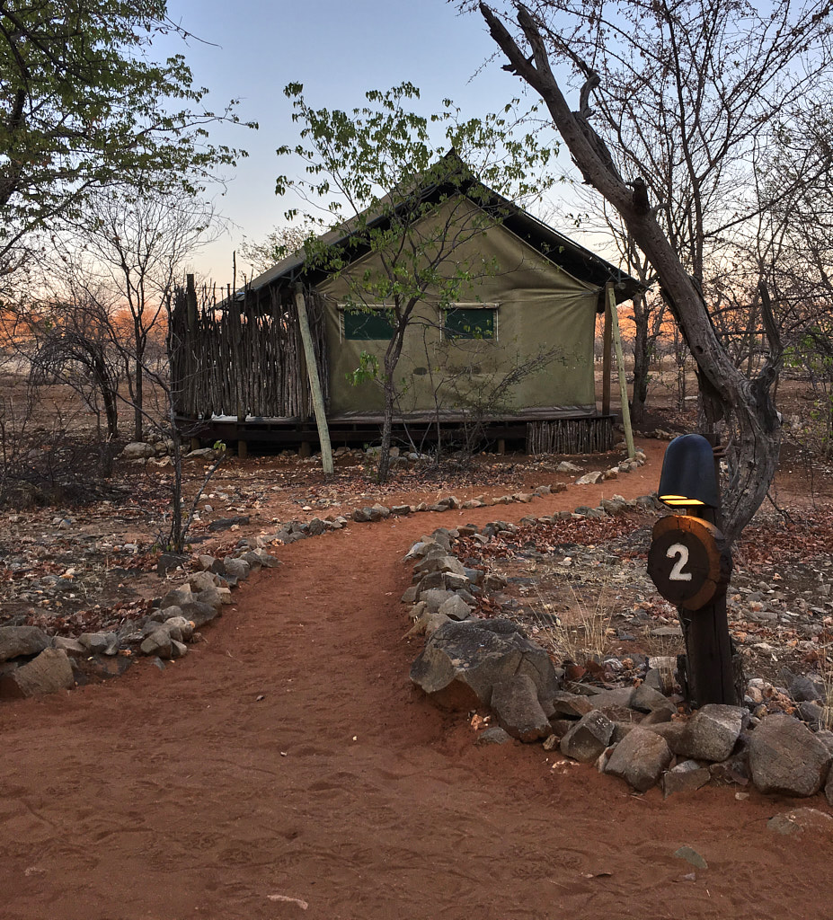 Ongava Tented Camp Rustic Luxury, Abundant Game & Namibian Wine Pull