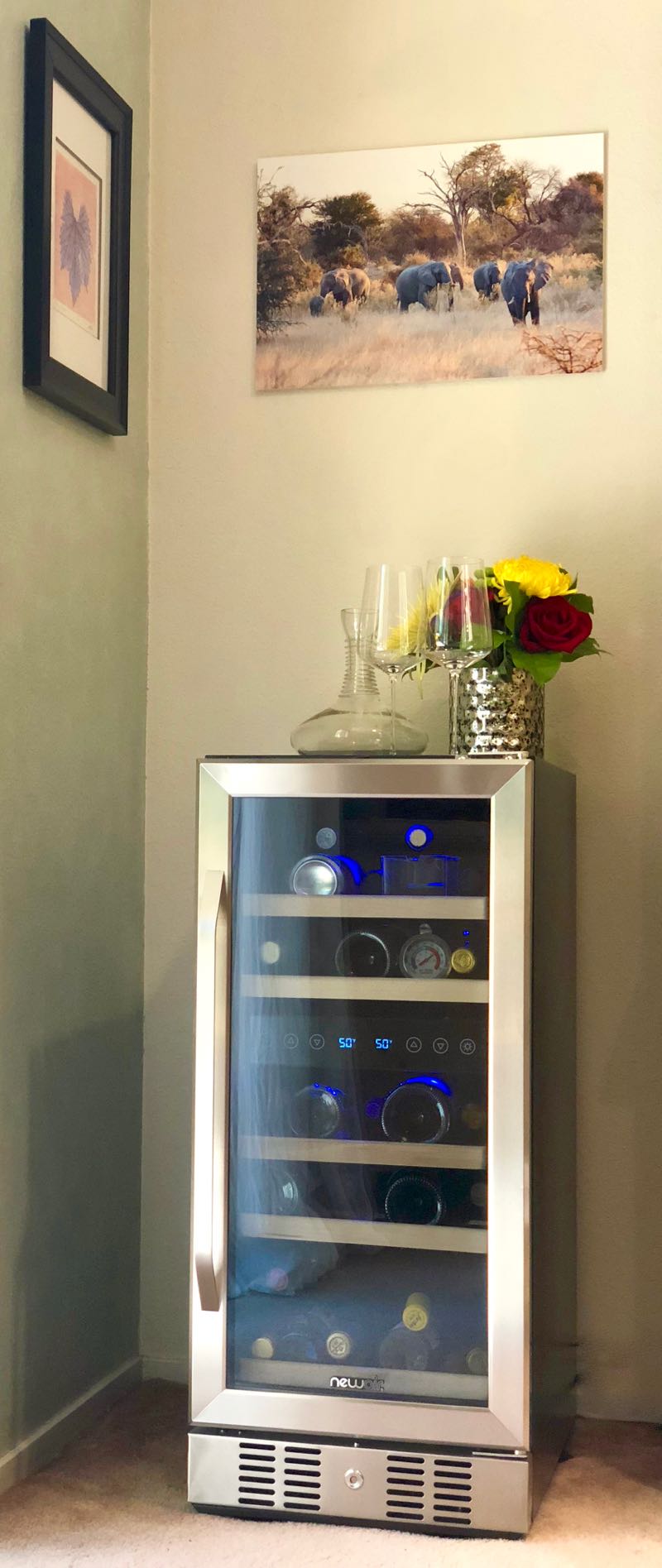 NewAir AWR290DB 29 Bottle Compressor Wine Cooler A Review Pull That