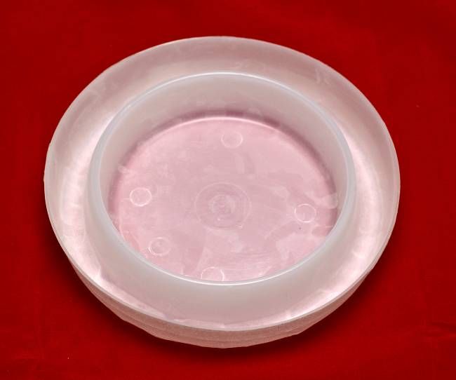 6 homemade bed bug traps Biological Science Picture Directory