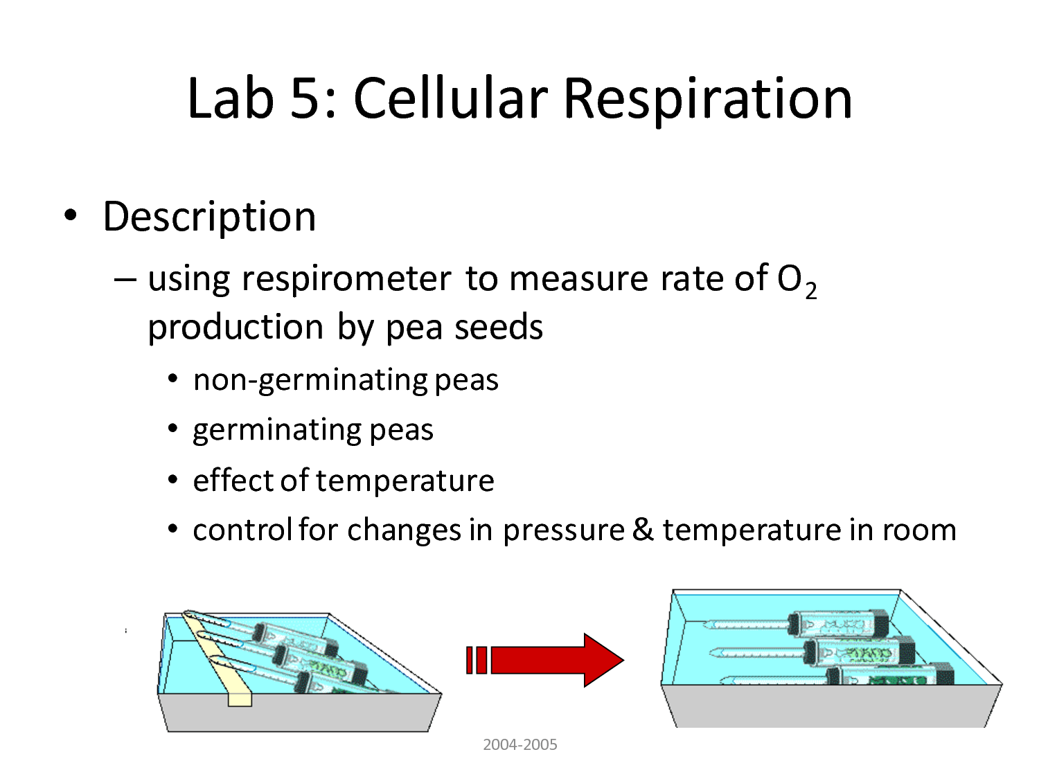 Web view cell_respiration_lab_bench from bio ap at our lady of lourdes academy. B) what is x _____ what is. Lab 5 Cellular Respiration Biological Science Picture Directory