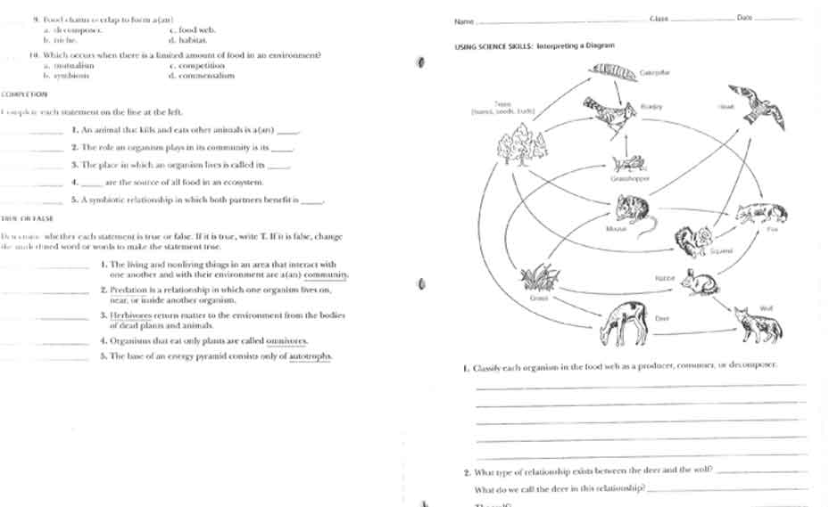 ecology basic test Biological Science Picture Directory