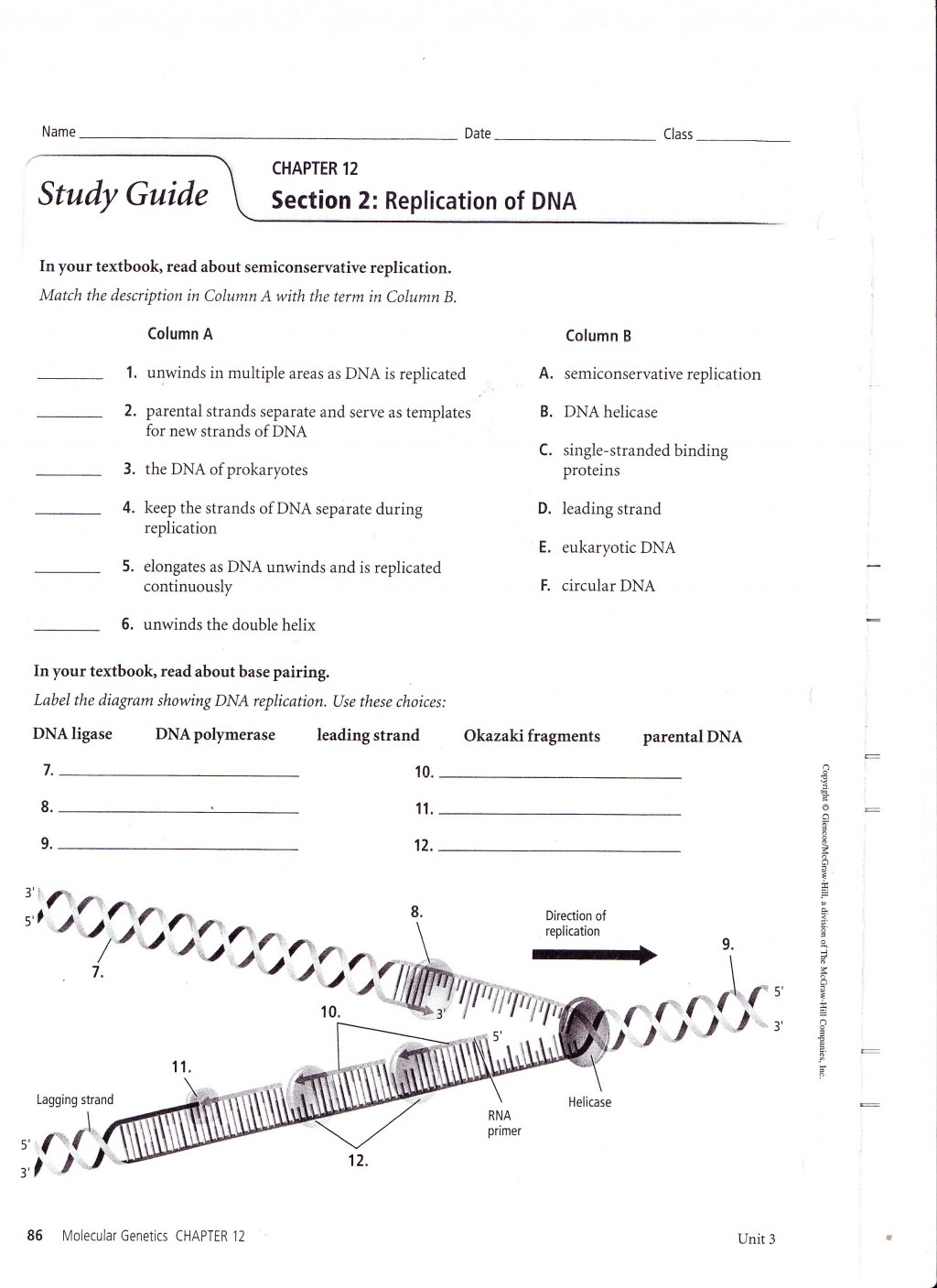 rna structure notes Biological Science Picture Directory