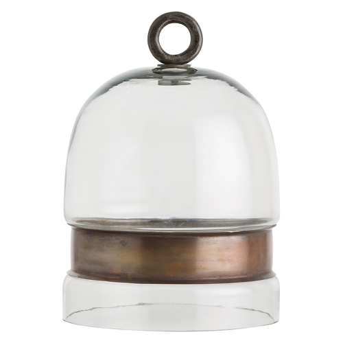 Large Cloche Pulp Design Studios