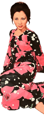 JUDY BLOOMS - Pulp International