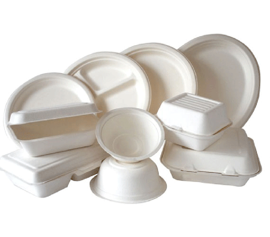 Sugarcane bagasse tableware mould Pulp Mould Maker Bagasse Tableware