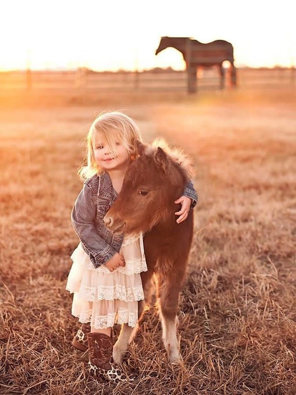 17 Teeny Tiny Horses That Are Delightfully Cute Pulptastic