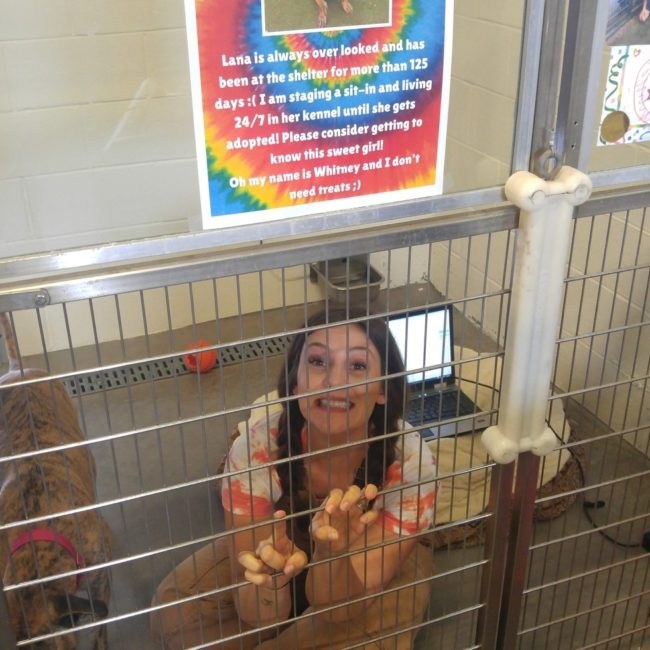 CrazyDedicated Shelter Worker Staged Kennel SitIn With Abandoned Dog