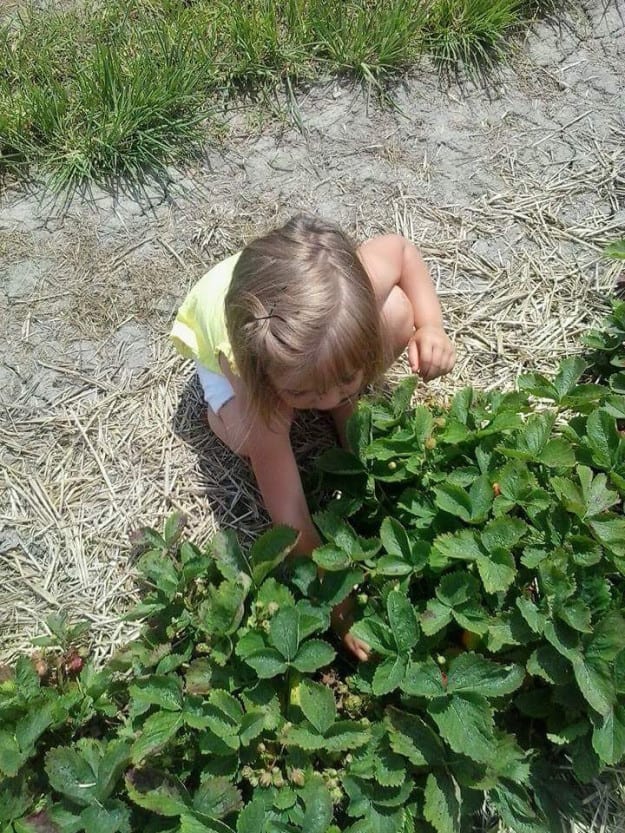 This Little Girl Was Bullied For Loving Bugs, So Scientists Around The