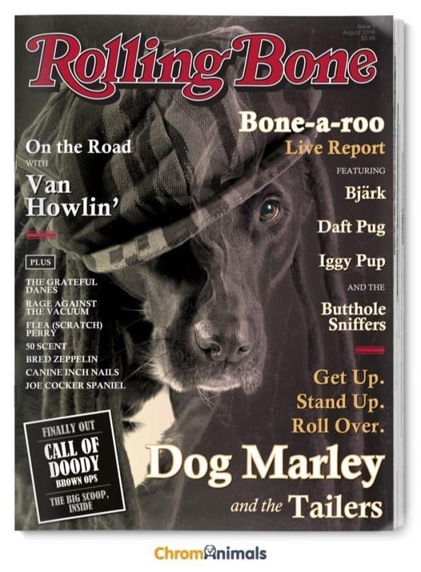 Realistic Cover Photos Show What Magazines Would Look Like If Dogs