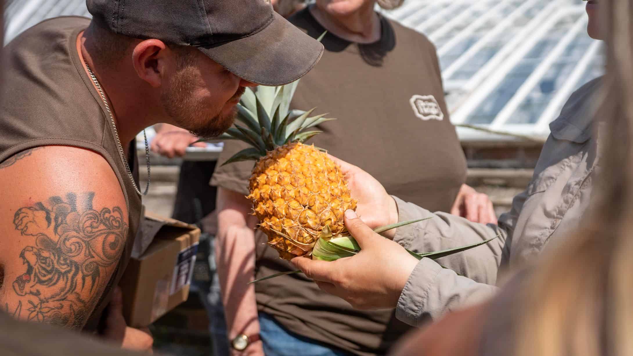 The 10 Most Expensive Fruits In The World Pulptastic