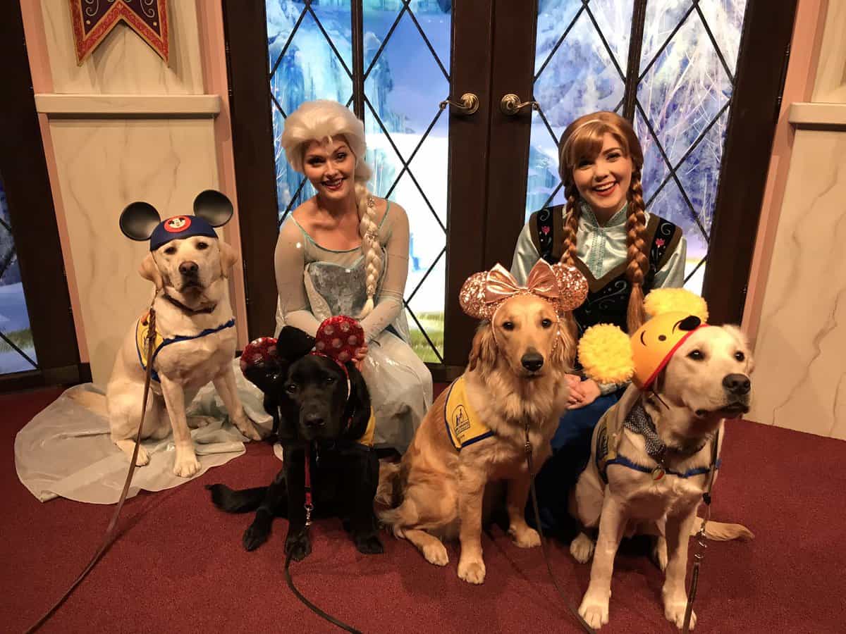 Service Dogs Have The Best Time Ever At The Happiest Place