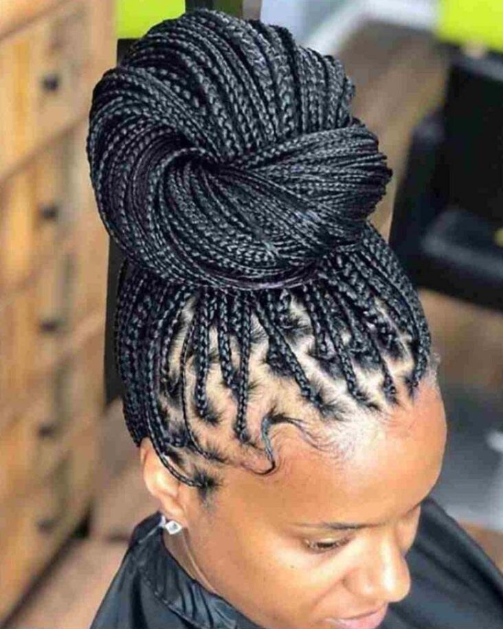 35 Stunning Tribal Braids Hairstyles for 2022 Pulptastic