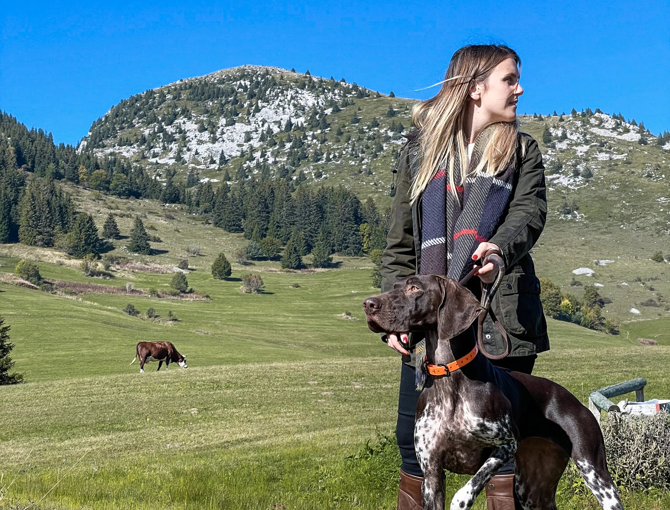 Are German Shorthaired Pointers Cuddly