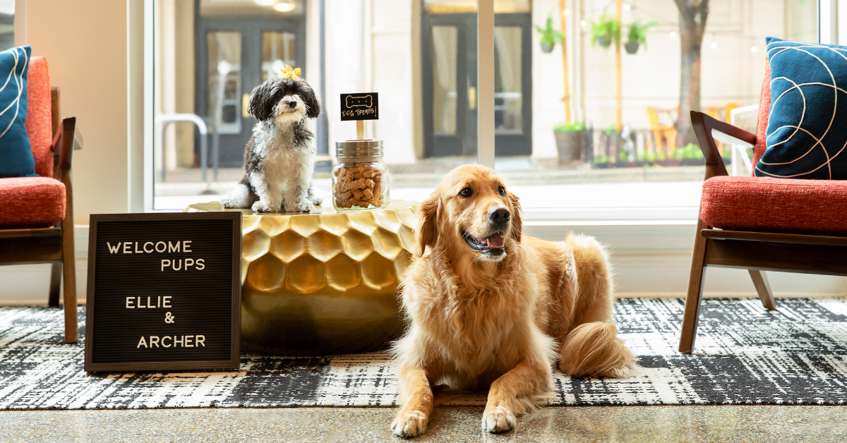 Petfriendly Stays in Sri Lanka Pulse