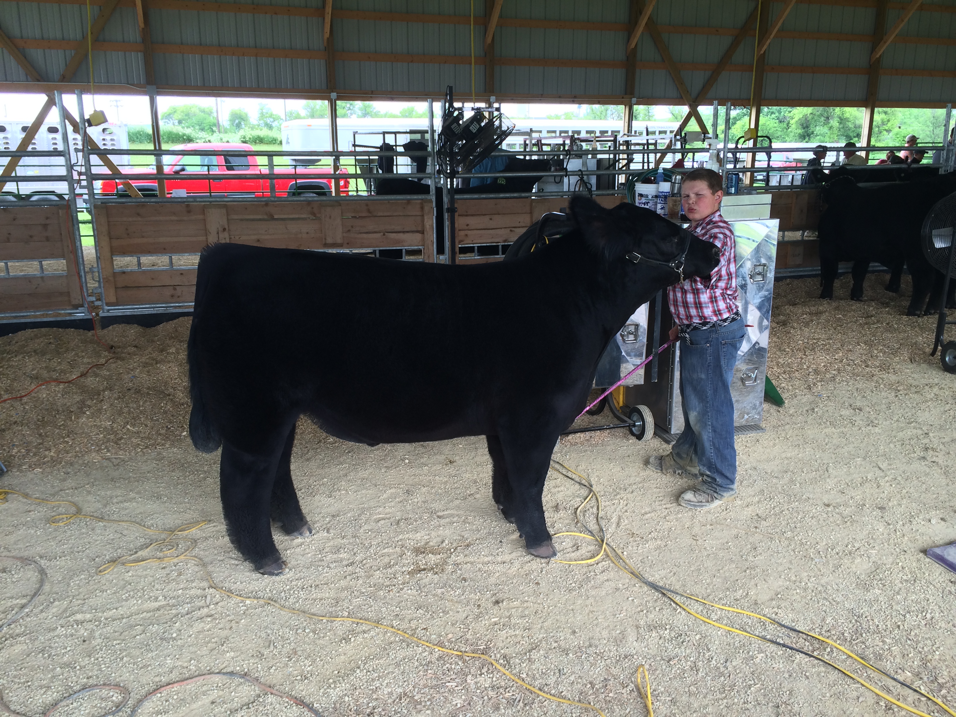 Audubon, IA FFA Show Iowa The Pulse
