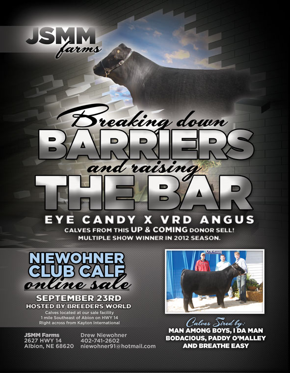 Niewohner Show Cattle Online Sale The Pulse