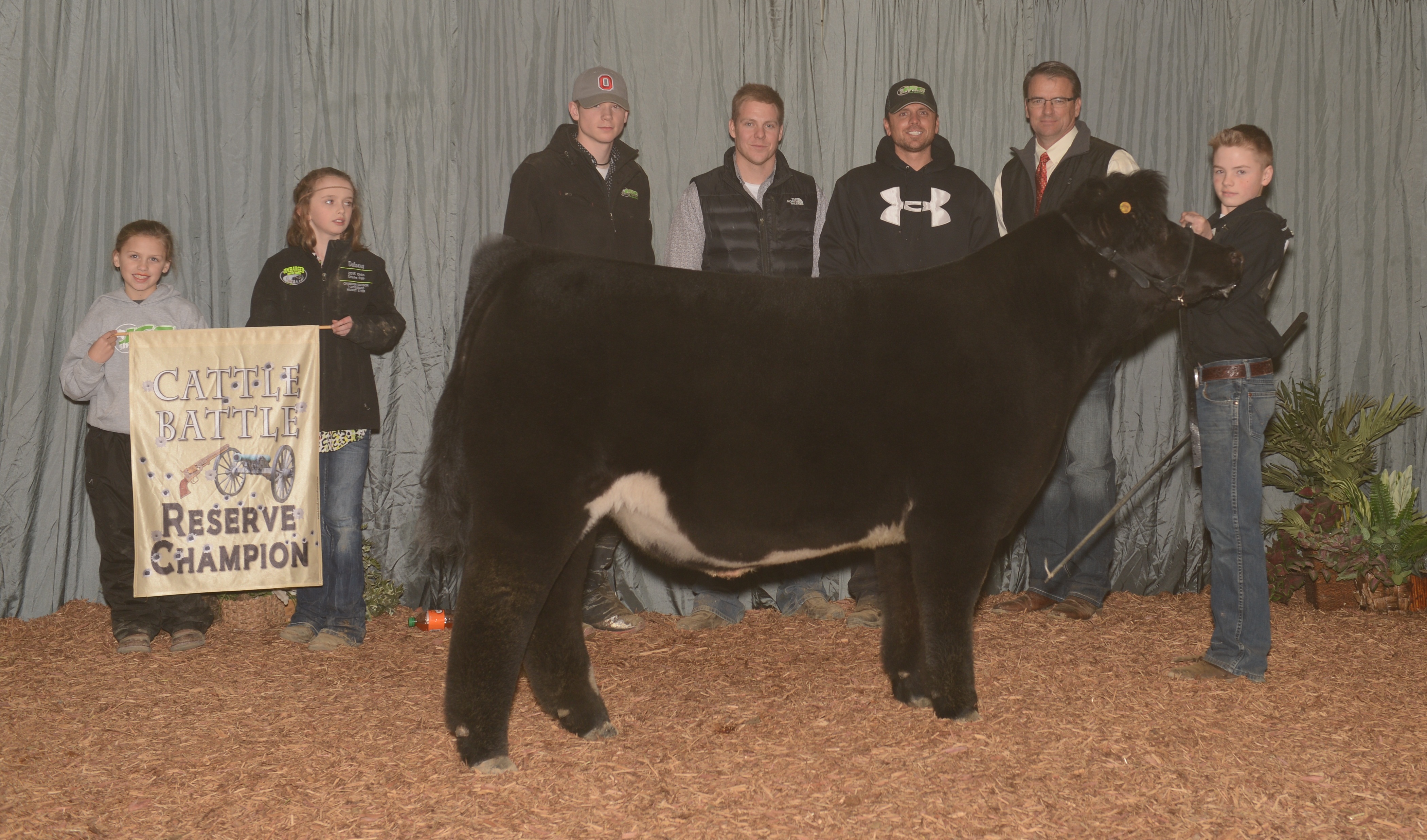 Cattle Battle Success The Pulse