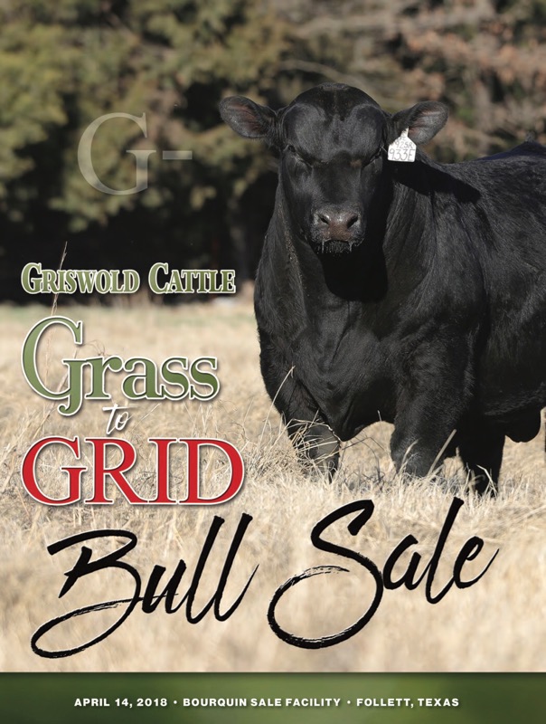 Griswold Cattle Company Grass to Grid Bull Sale THIS WEEKEND The