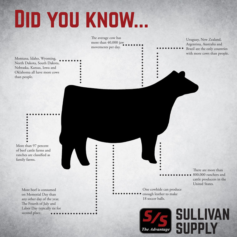 Did You Know… The Pulse