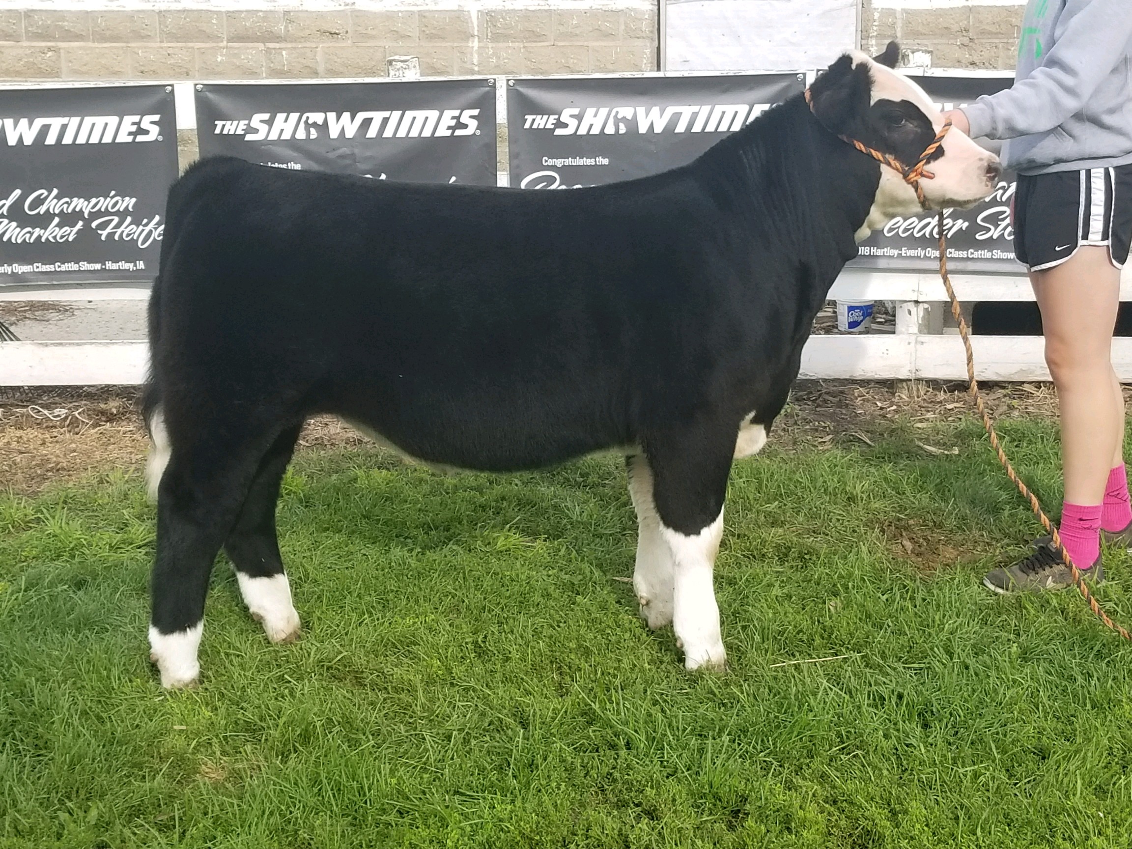 Lehner Stock Farms and Circle C Cattle Company BidOff Ends Today