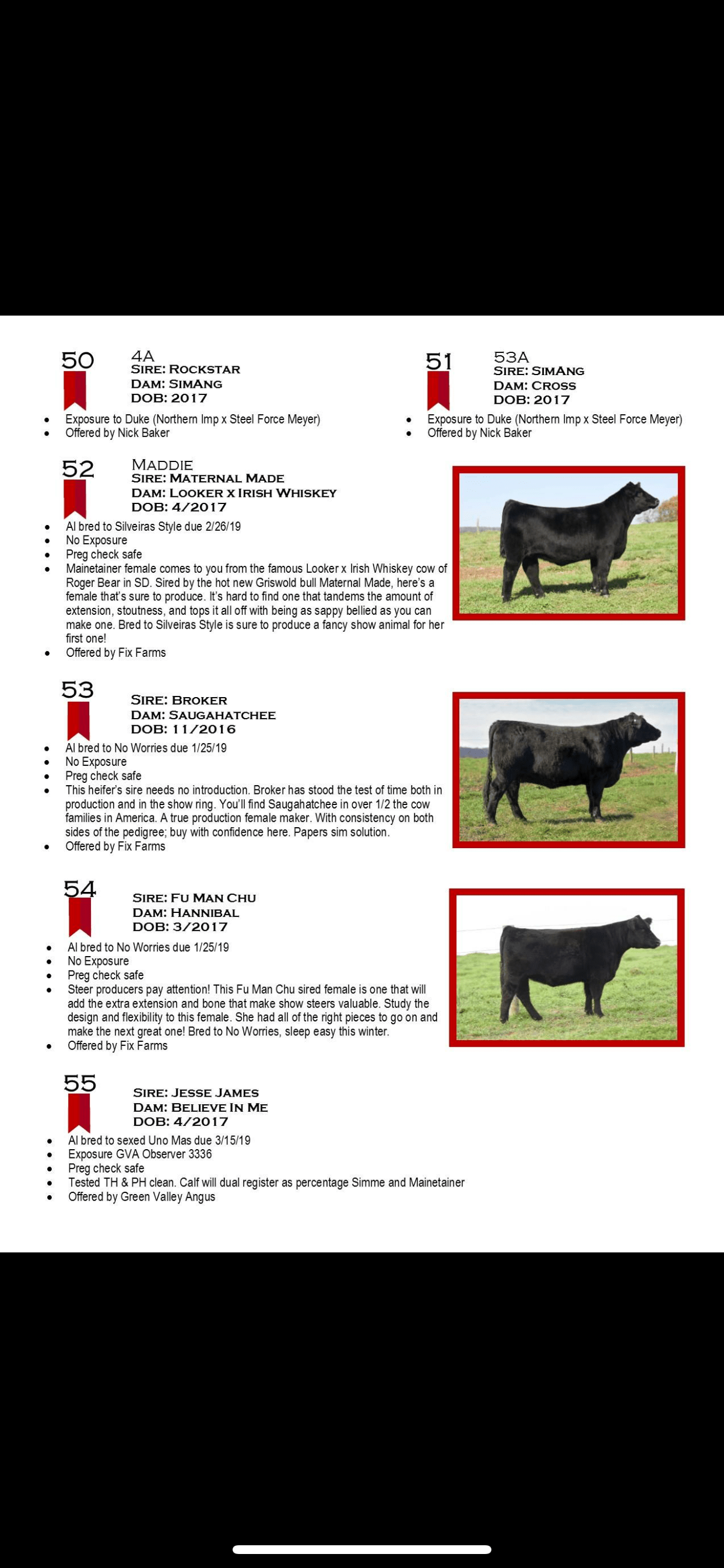 Fix Cattle Company Sale Offering TODAY The Pulse