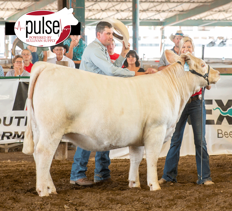 Great Faces, Great Places, Great Livestock South Dakota Summer