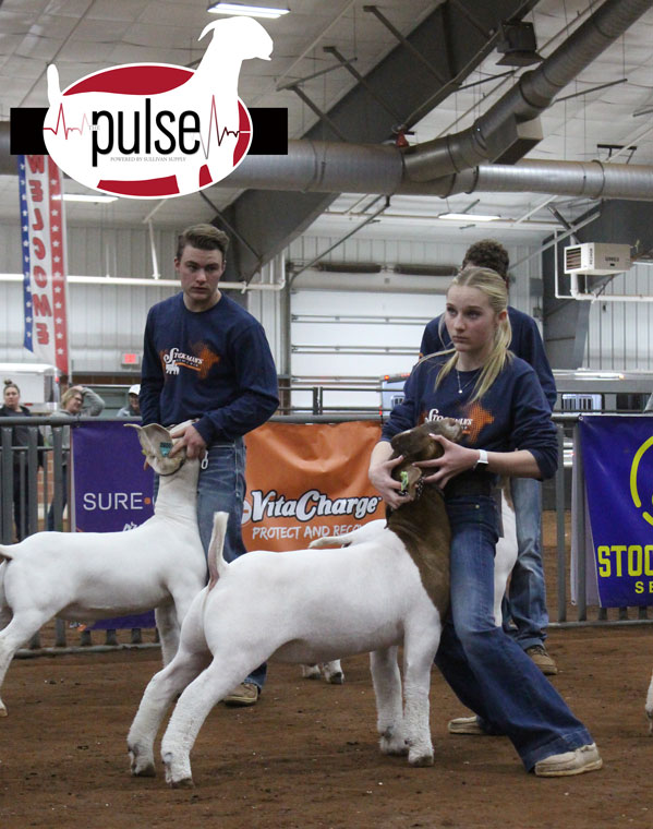 Stockman’s Showcase (Chickasha, OK) Market Goats Heavyweight The