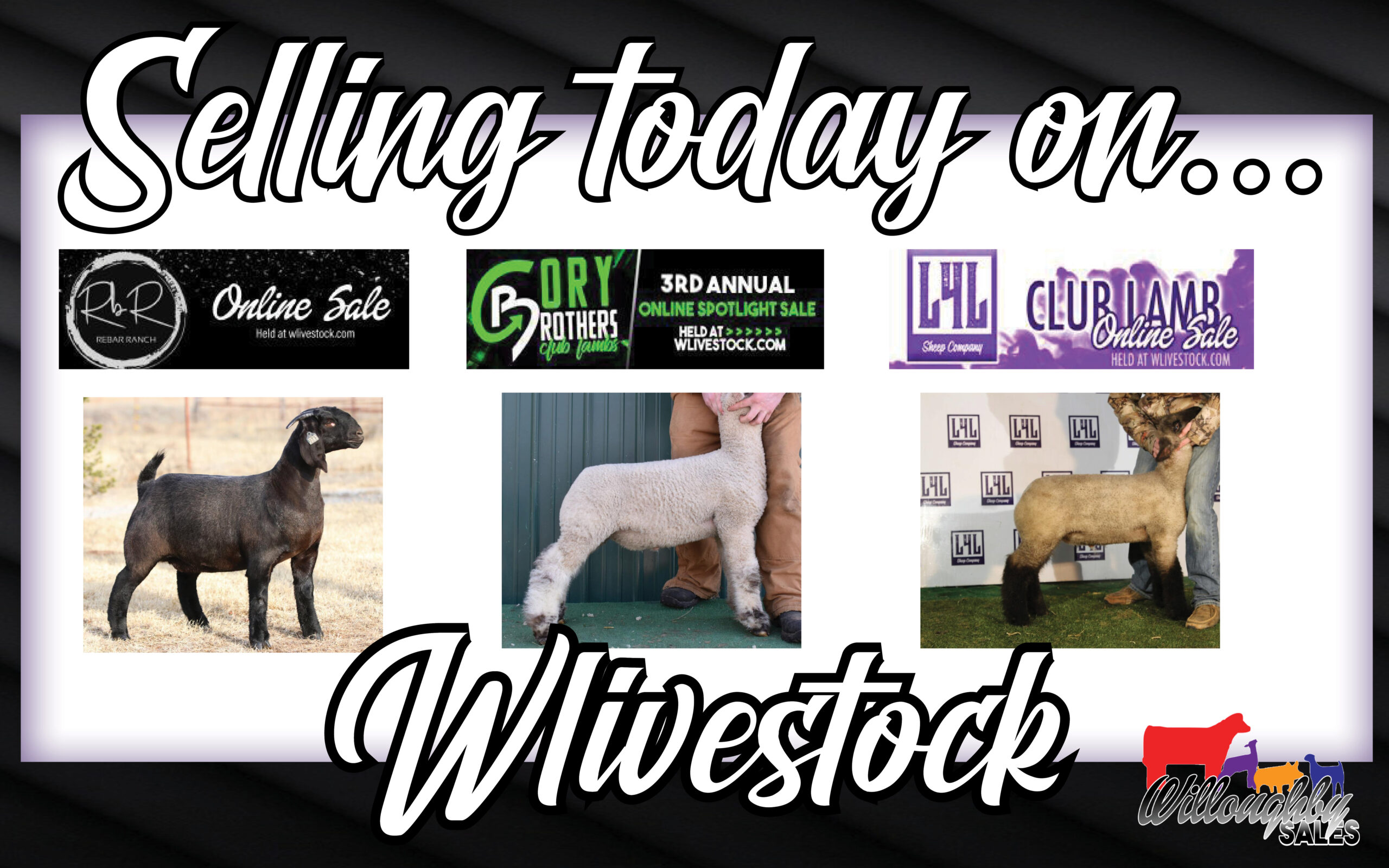 Online Auctions TODAY on The Pulse