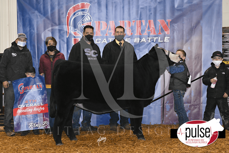 SWCC Spartan Cattle Battle (Afton, IA) Ring B Top 5 Heifer (Judge