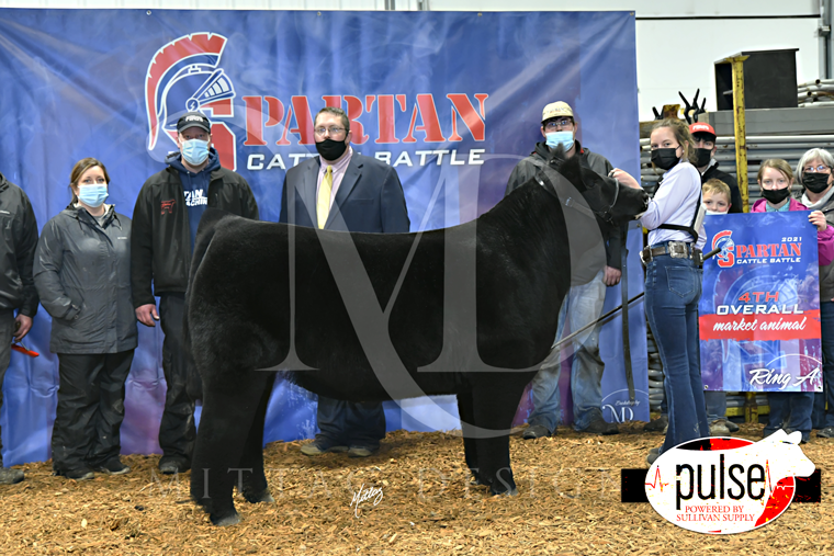 SWCC Spartan Cattle Battle (Afton, IA) Ring A Top 5 Market Animals