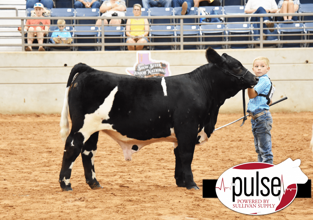 RCC Blog Day 1 Results From Show Steer Junior Nationals!!