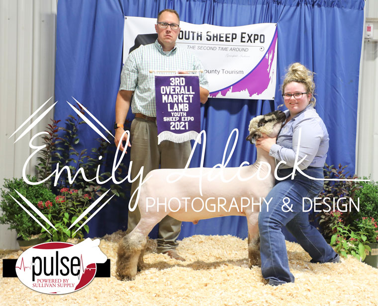 Youth Sheep Expo (Greenfield, IN) Top 5 Market Lambs (Judge Jason