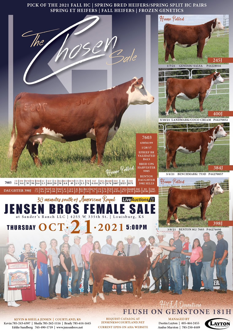 Jensen Bros The Chosen Sale October 21st The Pulse