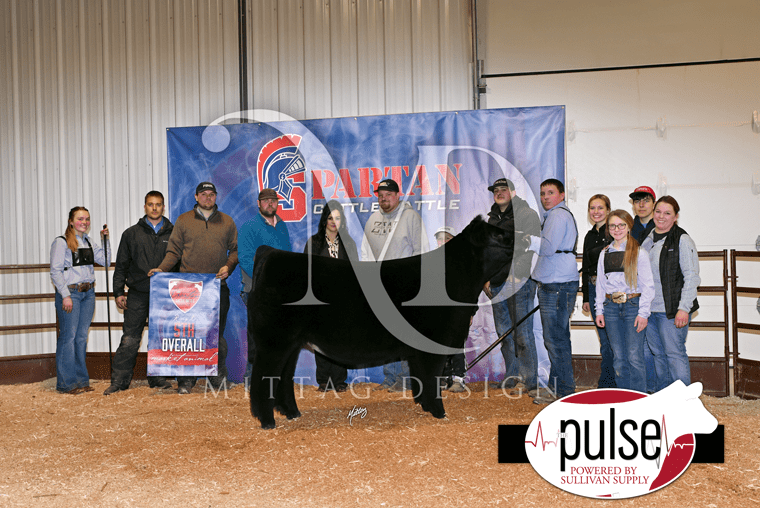 SWCC Spartan Cattle Battle Afton, Iowa Top Five Market Animals