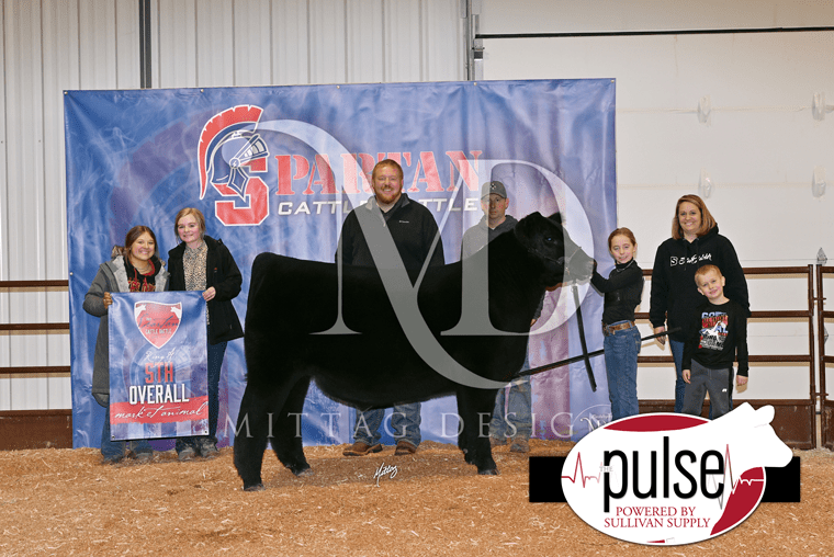 SWCC Spartan Cattle Battle Afton, Iowa Top Five Market Animals
