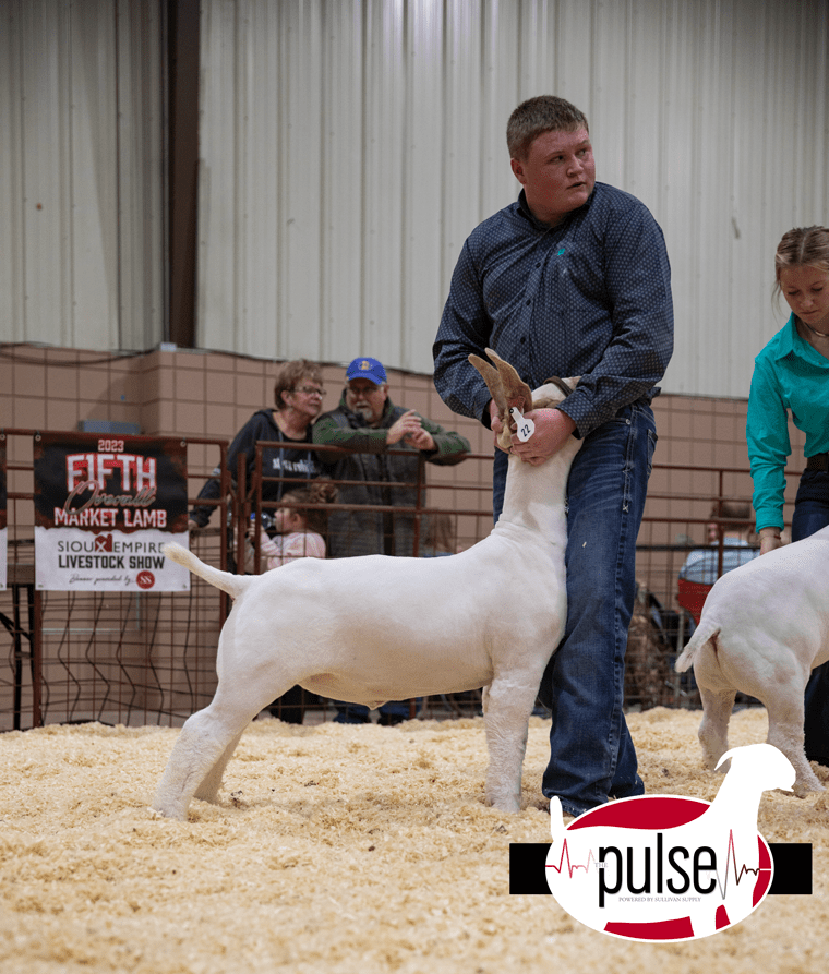 Sioux Empire Livestock Show Top 5 Market Goats The Pulse