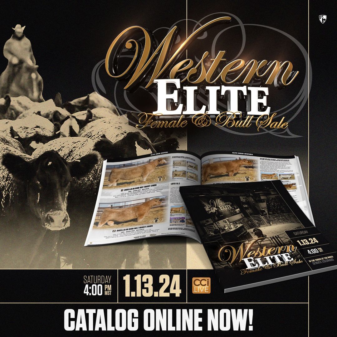 It’s Sale Day for the 2024 Western Elite The Pulse