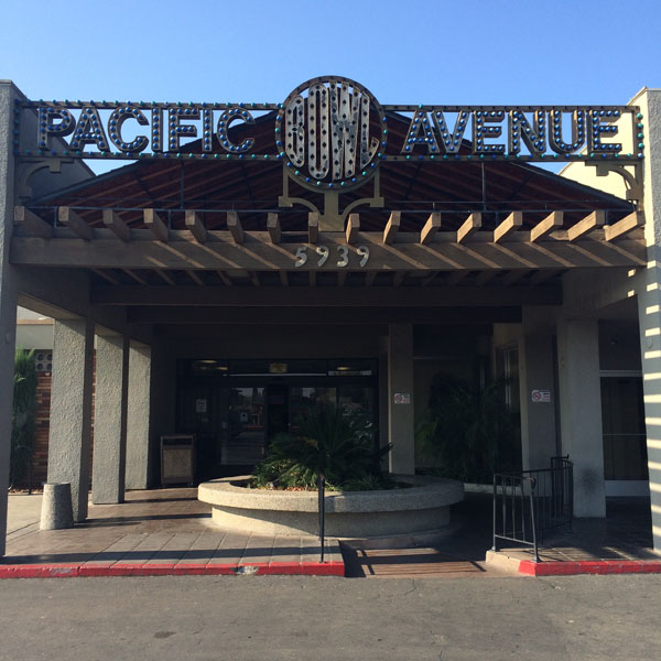 Pacific Pinheads Pulse of 209