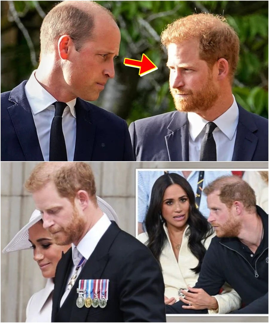 OMG! The unexpected tension between Prince Harry and Prince William