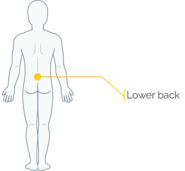 The Best TCM Treatments for Back Pain Relief PULSE TCM