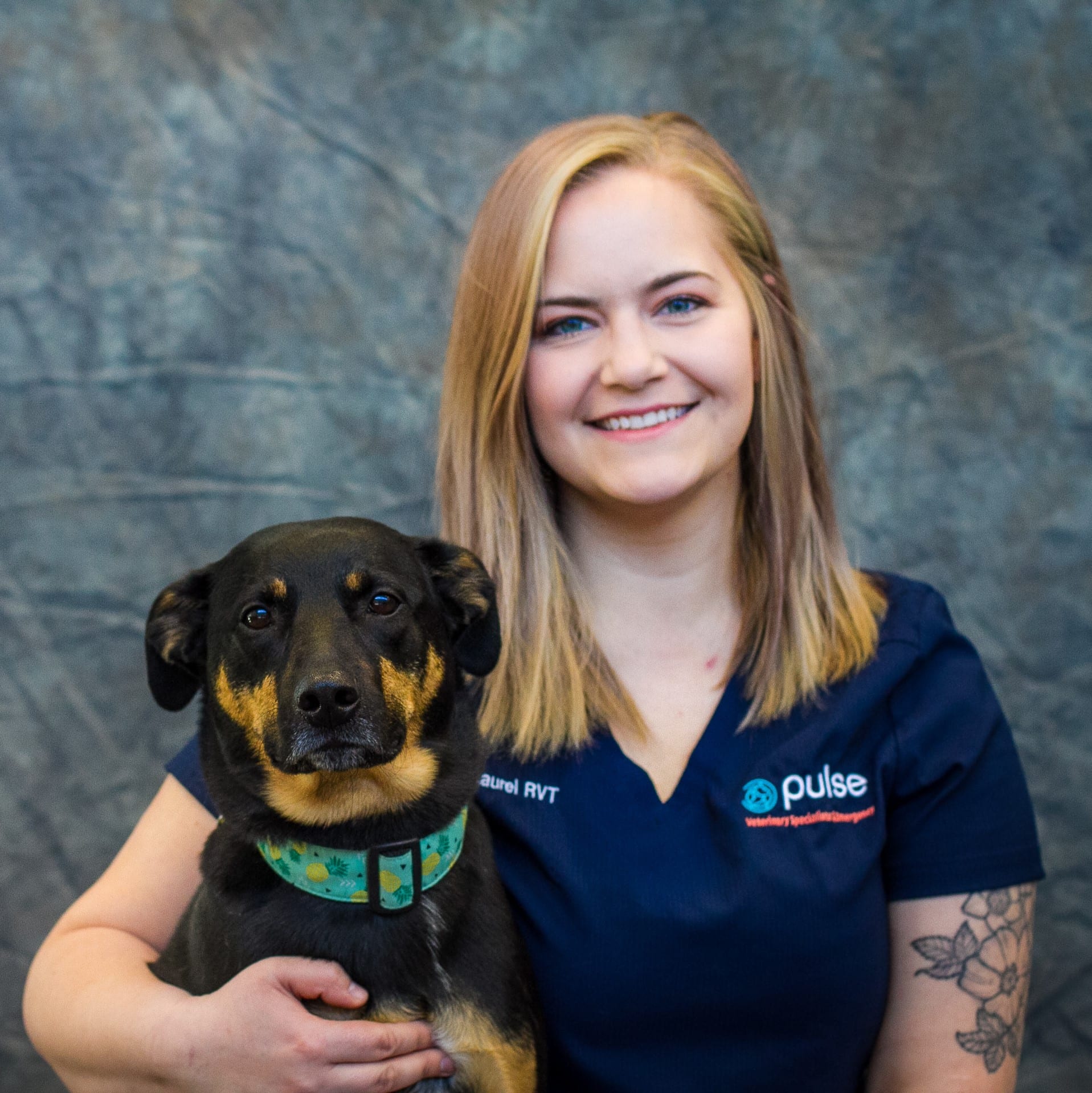 Emergency and Critical Care Edmonton & Area Pulse Emergency Veterinary