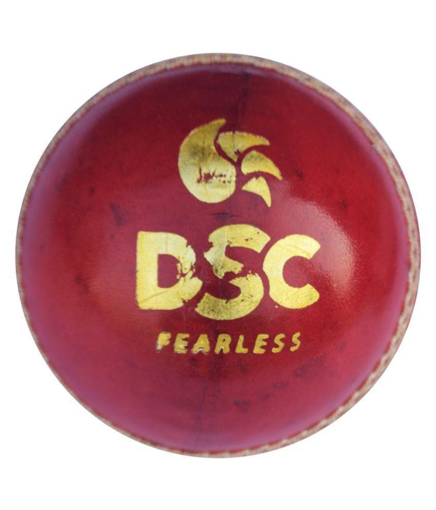 Top 10 Best Cricket Ball Brands In India Pumky